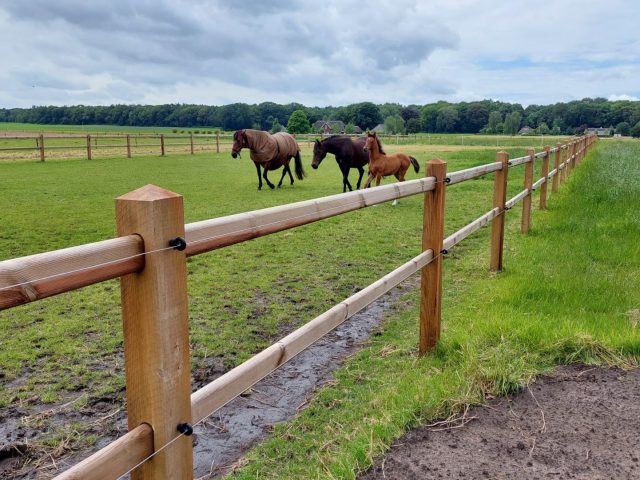 nobifix-doorsteek-01-min